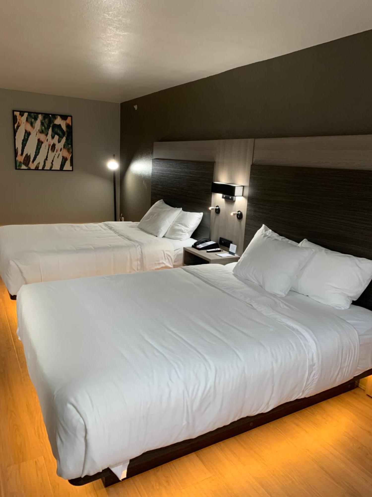 Quality Inn & Suites North Mesquite I-30 Zimmer foto